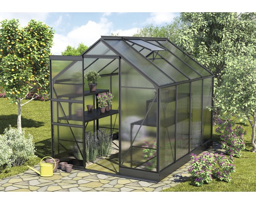 Serre Vitavia Apollo en polycarbonate 4 mm 195 x 261 cm noir