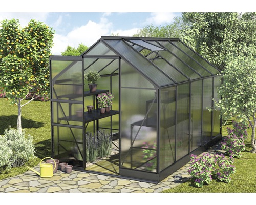 Serre Vitavia Apollo en polycarbonate 4 mm 195 x 323 cm noir