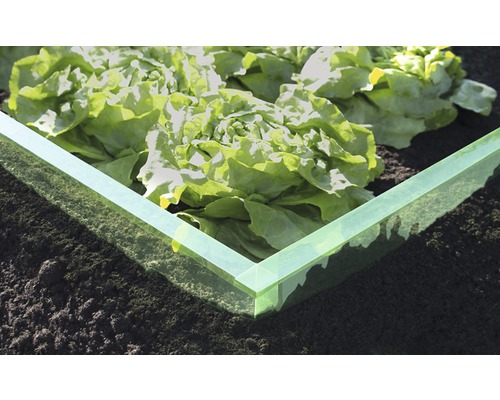 Hochbeet mit Salat im Garten