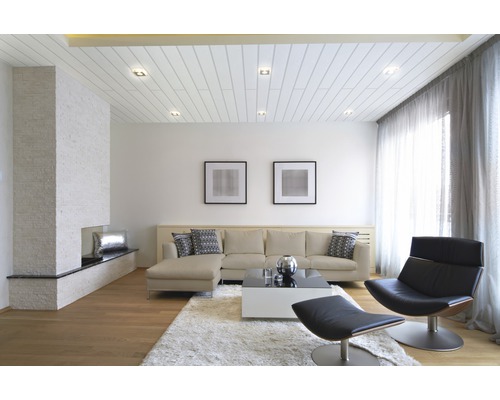 Salon lumineux avec canapé, fauteuil, cheminée et tapis