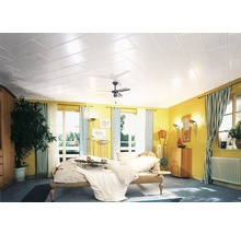 Schlafzimmer mit Deckenpaneelen, Bett und Fenstern