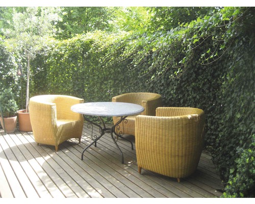Terrasse mit Korbsesseln und Tisch für den Aussenbereich