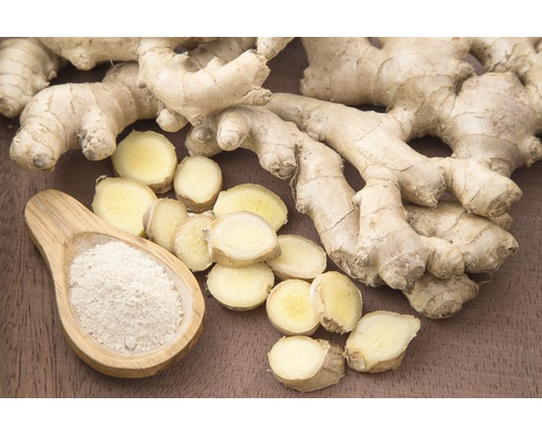 Racine de gingembre avec tranches de gingembre et poudre de gingembre