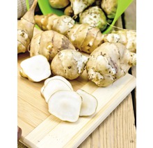 Topinambours sur une planche en bois