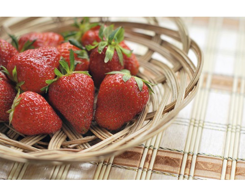 Erdbeeren in einem Korb