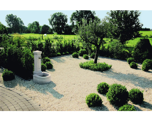 Gestalteter Garten mit Zierbrunnen, Strauchgruppen und Baum