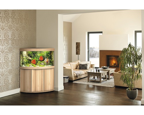 Eingerichtetes Eckaquarium im Wohnzimmer