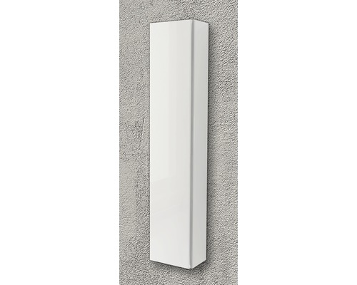 Armoire haute de salle de bain blanche pour montage mural