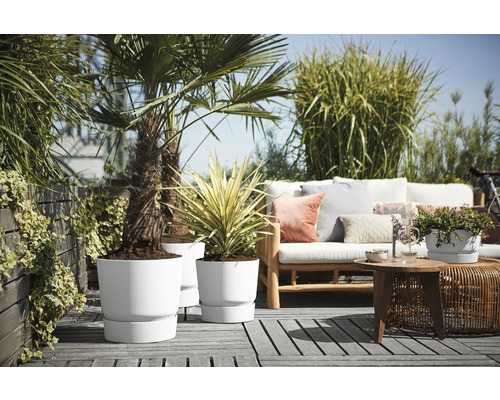 Terrassenszene mit Pflanzen in Pflanzgefäßen und Gartenmöbeln