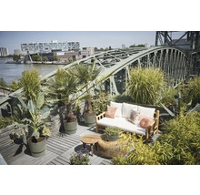 Terrasse mit Holzmöbeln und Pflanzen in Töpfen vor einer Brücke