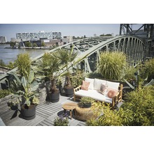 Gestaltete Dachterrasse mit Sitzgruppe, Beistelltisch und verschiedenen Pflanzen in Töpfen.