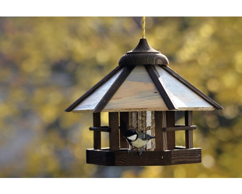 Mangeoire en bois avec oiseau