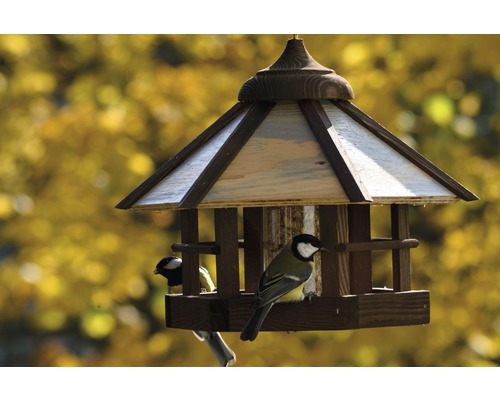 Mangeoire à oiseaux avec deux mésanges