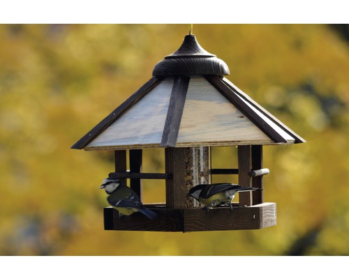 Mangeoire à oiseaux avec deux oiseaux