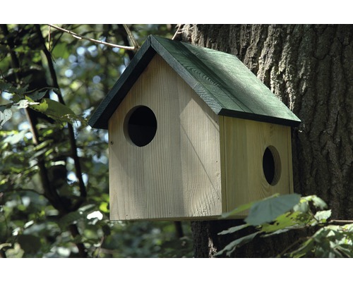Nichoir en bois avec deux ouvertures sur un arbre
