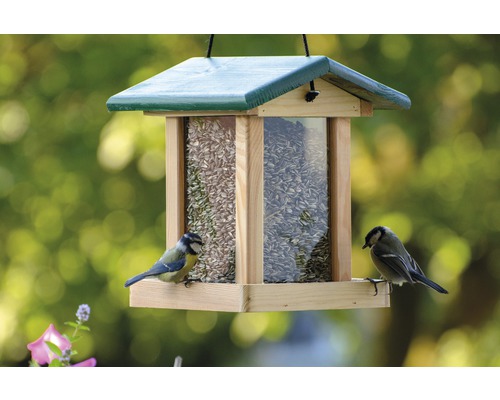 Abri-mangeoire pour oiseaux avec silo de nourriture et toit vert 21x21x28 cm