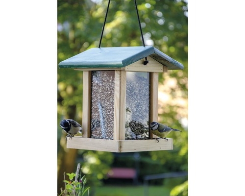 Vogelfutterhaus mit Futter und zwei Vögeln