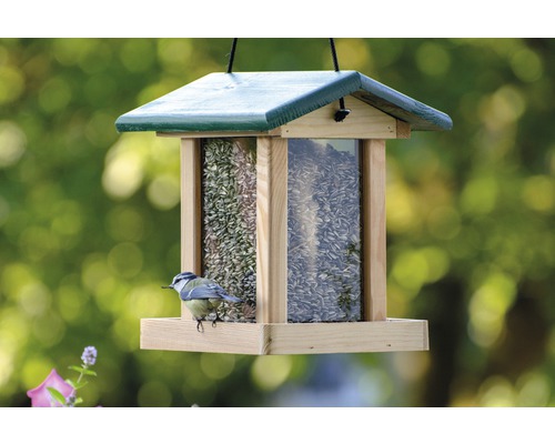Vogelhaus mit Futter und Vogel