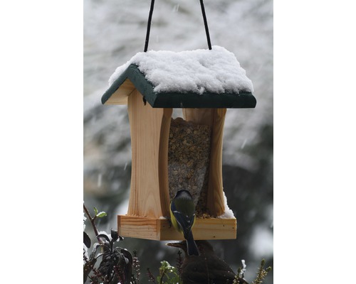 Mangeoire à oiseaux avec nourriture et neige, visitée par des oiseaux