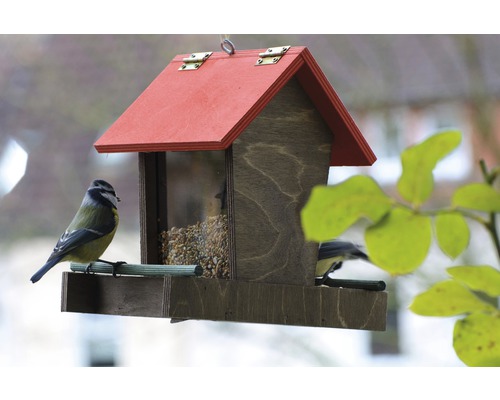 Maison pour oiseaux avec nourriture et mésanges bleues