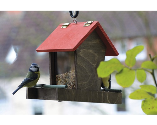 Mangeoire en bois avec nourriture et mésange bleue