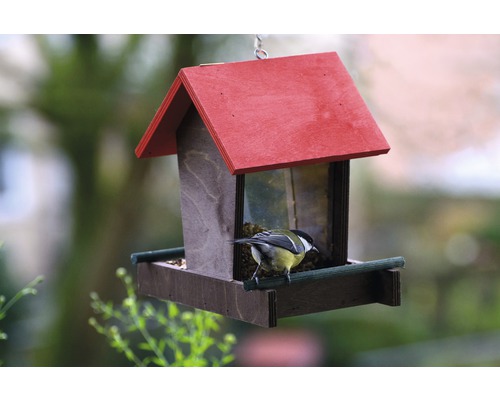 Maison pour oiseaux en bois avec un oiseau
