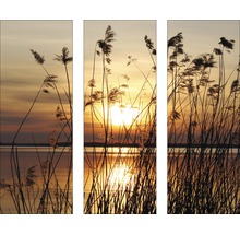 Image murale en trois parties avec des roseaux à contre-jour d''un lac au coucher du soleil.