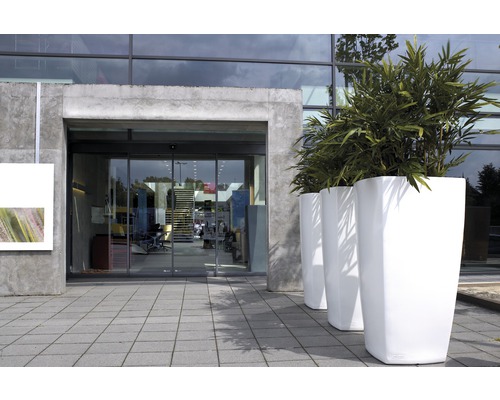 Trois grands pots à plantes blancs devant un bâtiment moderne.