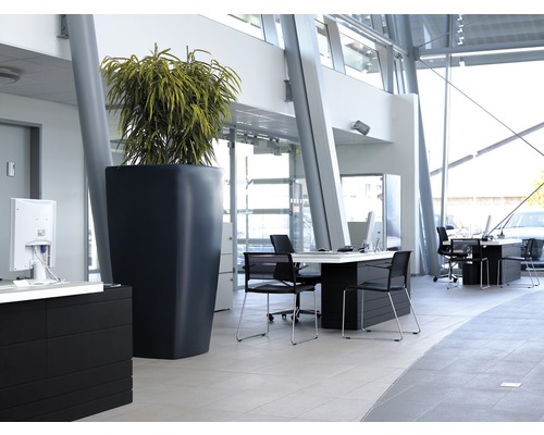 Bureau lumineux avec bureaux, chaises de bureau et une grande plante dans un pot.