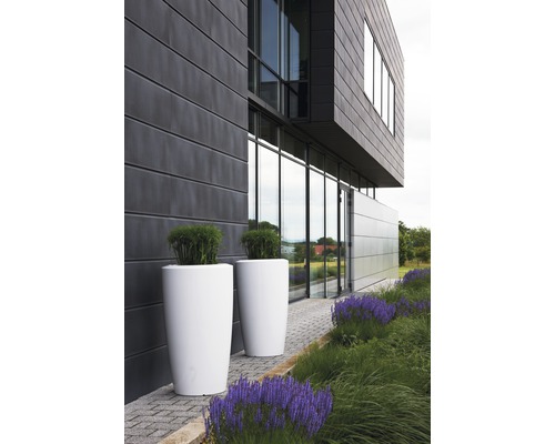 Extérieur d''un bâtiment moderne avec deux grands pots de fleurs et des fleurs épanouies