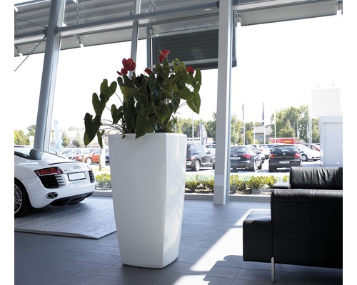 Grand bac à fleurs avec plante à l''intérieur