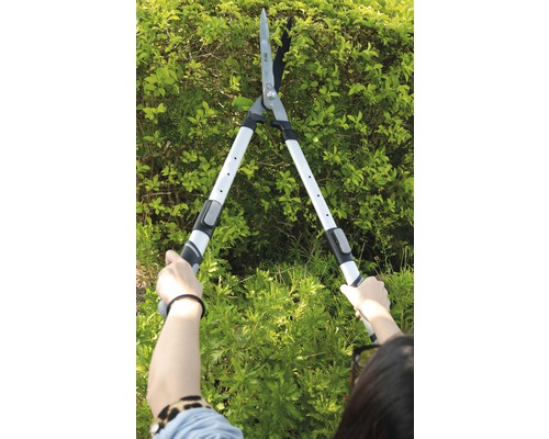 Person schneidet Hecke mit einer Heckenschere