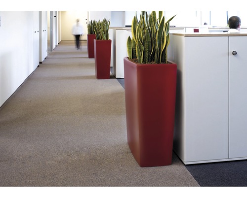 Flur mit Pflanzen in hohen Pflanzgefäßen