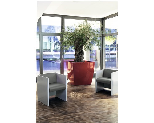 Intérieur avec deux fauteuils, un arbre dans un pot de fleurs et un plancher en bois