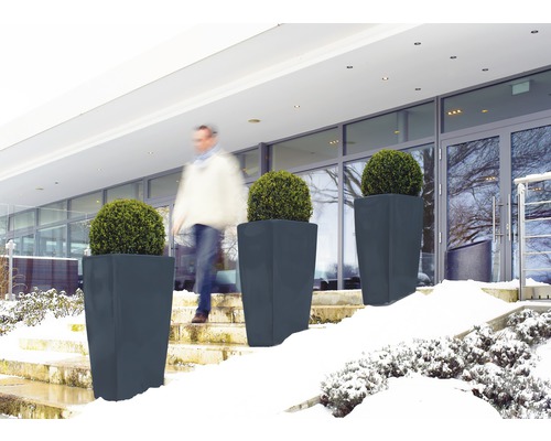 Trois jardinières grises avec des plantes rondes sur un escalier devant un bâtiment.