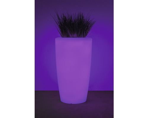 Illuminierter Pflanzkübel mit Bepflanzung