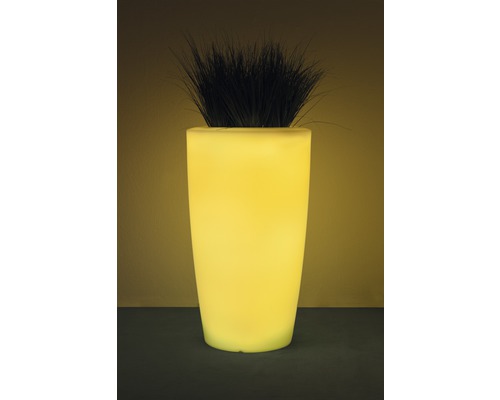 Beleuchteter Pflanzkübel mit Pflanze