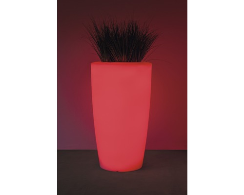 Beleuchteter Pflanzkübel mit Pflanze