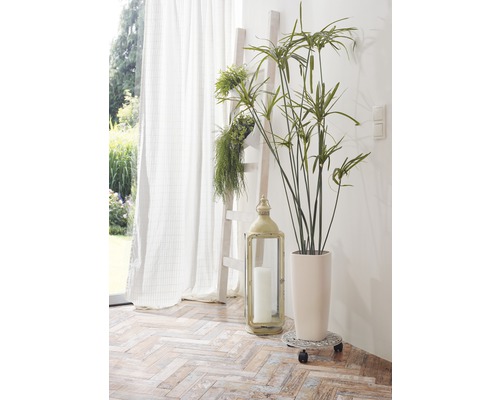 Dekoratives Interieur mit Leiterregal, Zimmerpflanze, Laterne und Vorhang