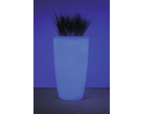 Leuchtender Pflanztopf mit Ziergras