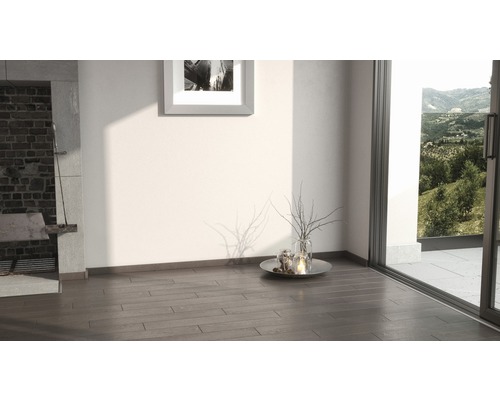 Intérieur avec plancher en bois, décoration et vue sur la verdure