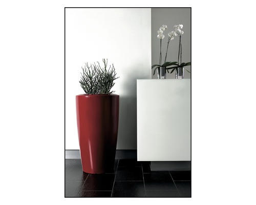 Intérieur décoratif avec une plante dans un bac et des orchidées dans des vases