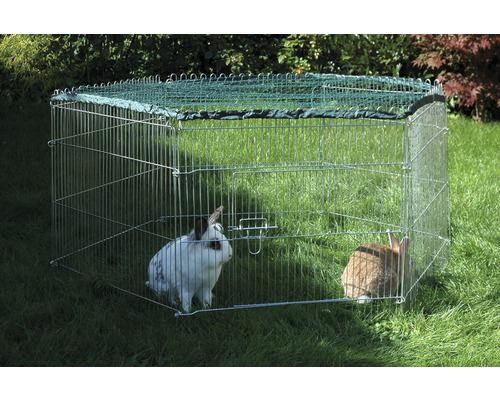 Enclos extérieur avec deux lapins dans le jardin