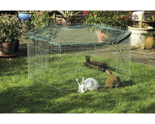 Enclos extérieur pour petits animaux dans le jardin avec plusieurs lapins