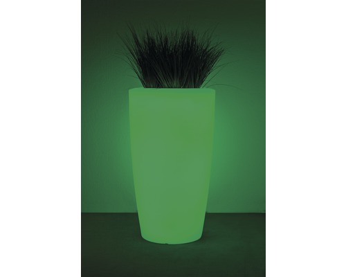 Illuminierter Pflanzkübel mit Dekorativem Gras