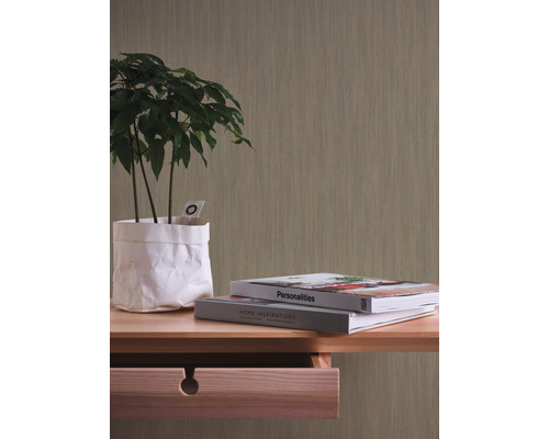 Scène avec une plante, des livres et une commode devant un papier peint