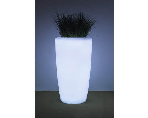 Leuchtender Pflanztopf mit Bepflanzung