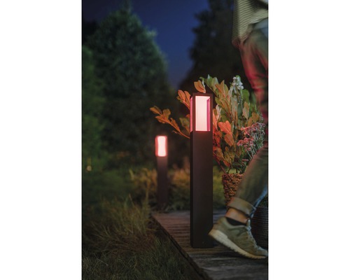 Chemin de jardin éclairé avec plusieurs bornes lumineuses