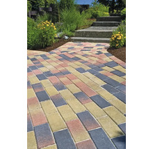 Chemin de jardin en pavés rectangulaires multicolores menant à des marches en pierre, entouré de plantes et de fleurs.