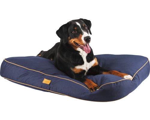 Entlebucher Sennenhund liegt auf einem Hundebett